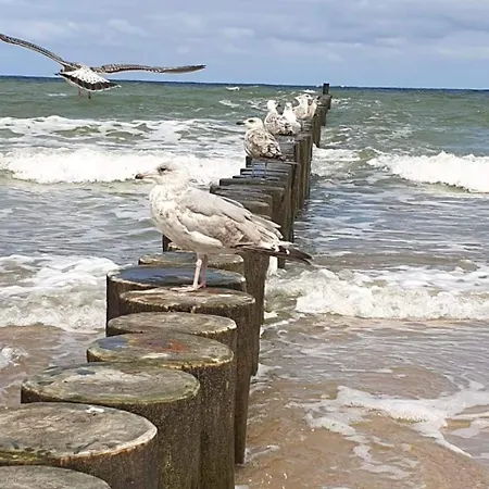 Appartamento Dla Ciebie Iii *