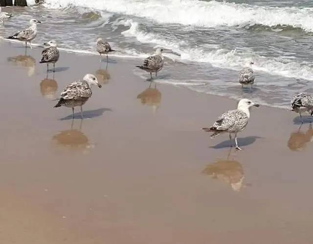 Dla Ciebie Iii * Ustronie Morskie