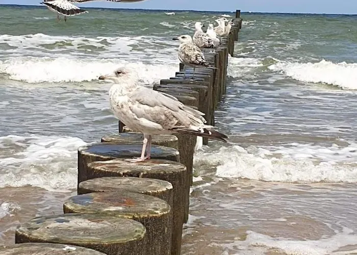 Διαμέρισμα Dla Ciebie Iii *